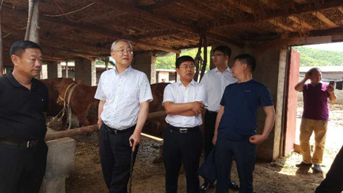 图为调研现场