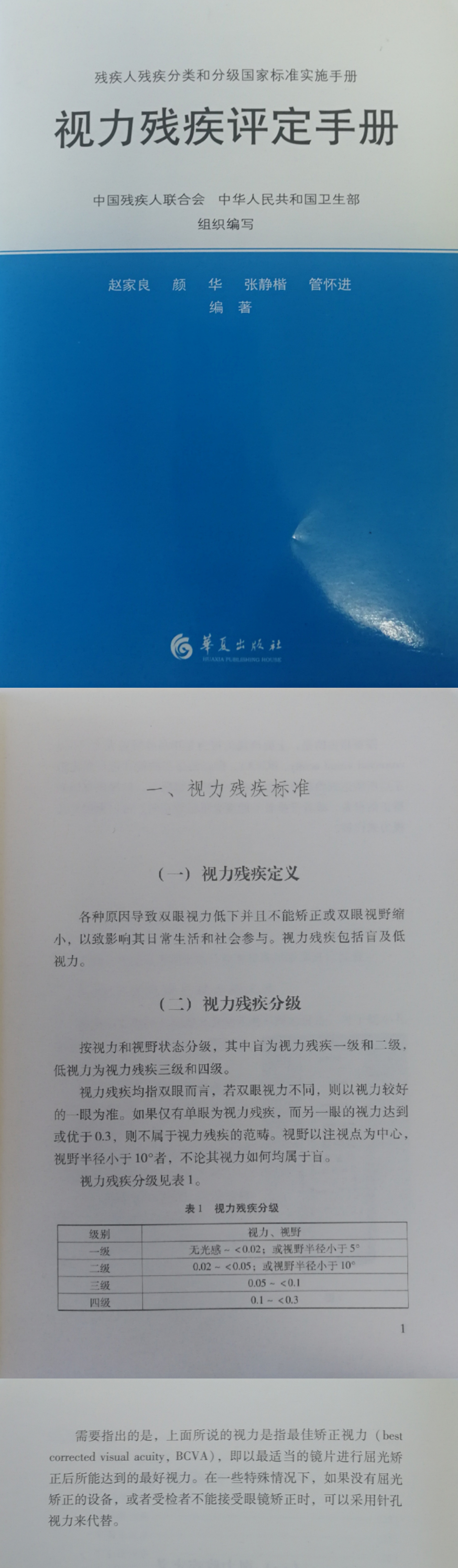 视力残疾标准
