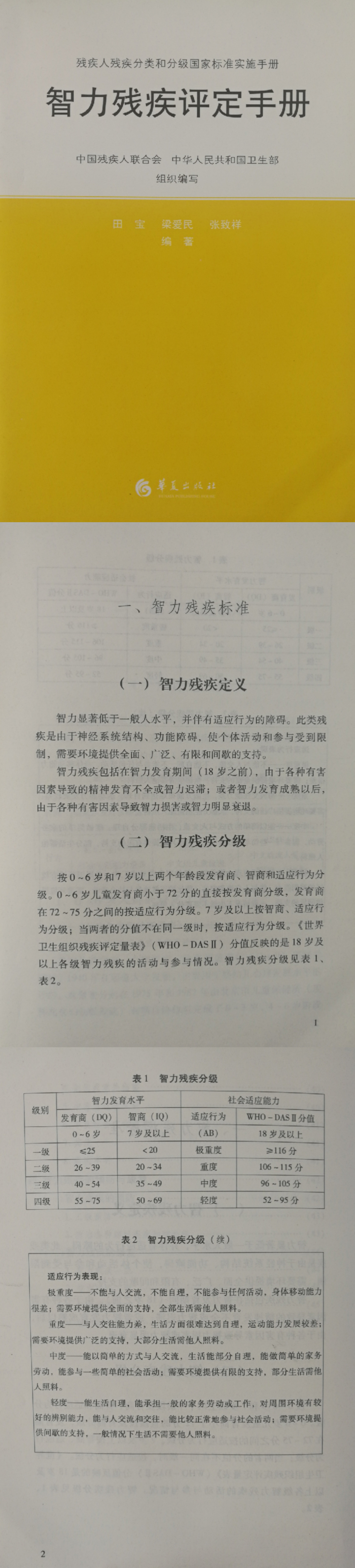 智力残疾标准