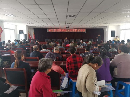 图为培训现场