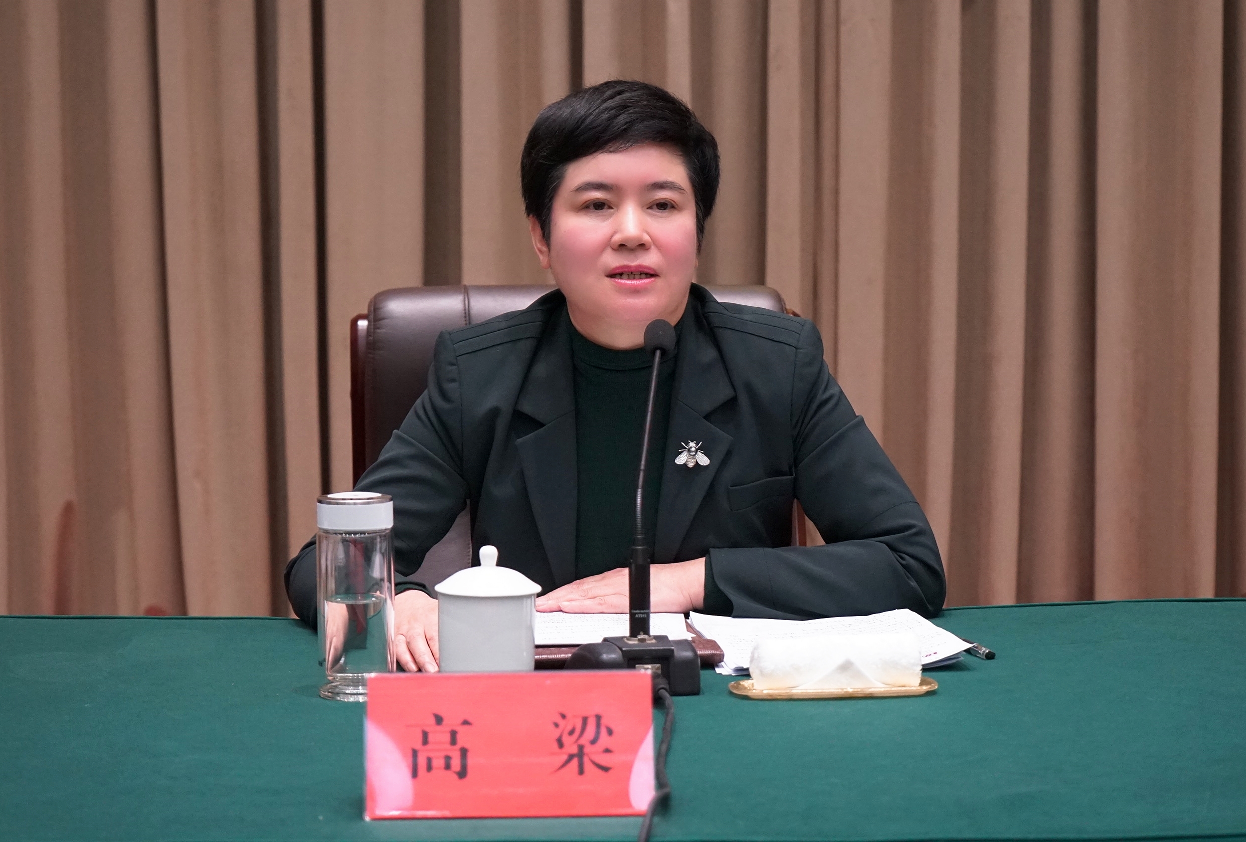 图为省残联党组书记、理事长高梁【高粱】讲话